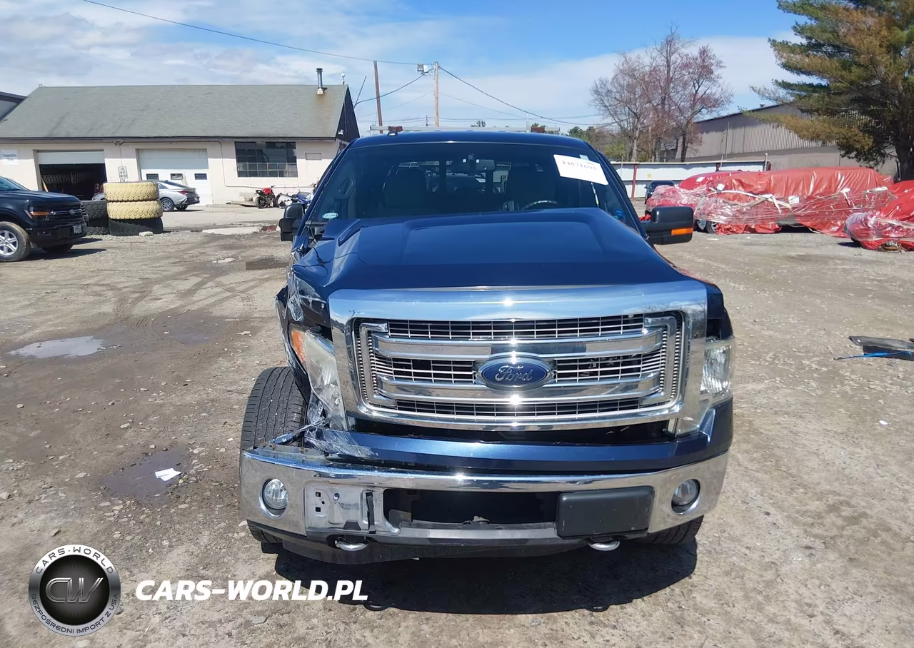 2013 Ford F-150 Xlt VIN:1FTFW1EF4DKD44839 - 12