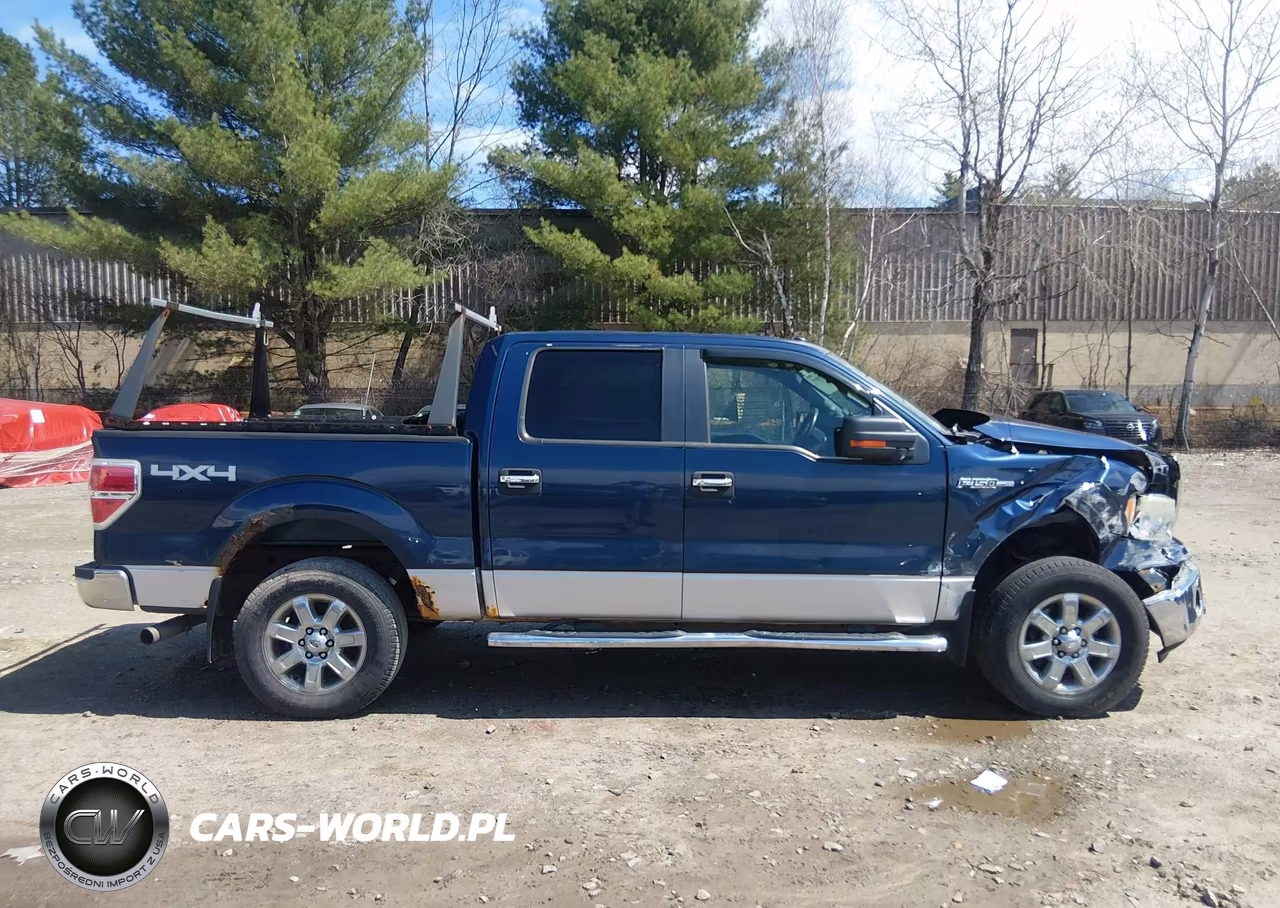 2013 Ford F-150 Xlt VIN:1FTFW1EF4DKD44839 - 13