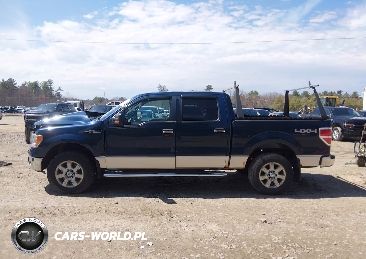 2013 Ford F-150 Xlt VIN:1FTFW1EF4DKD44839 - 14
