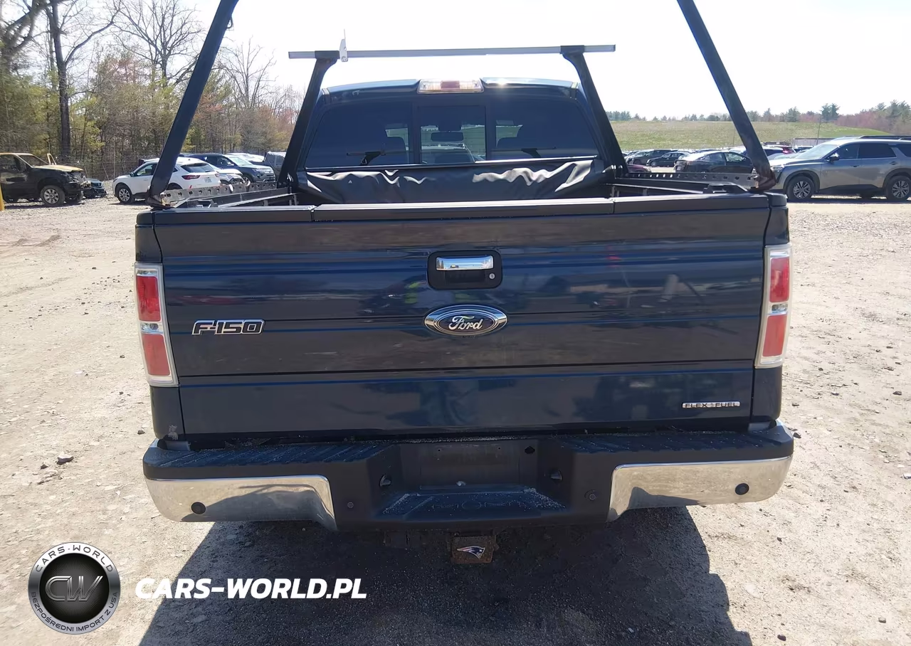 2013 Ford F-150 Xlt VIN:1FTFW1EF4DKD44839 - 16