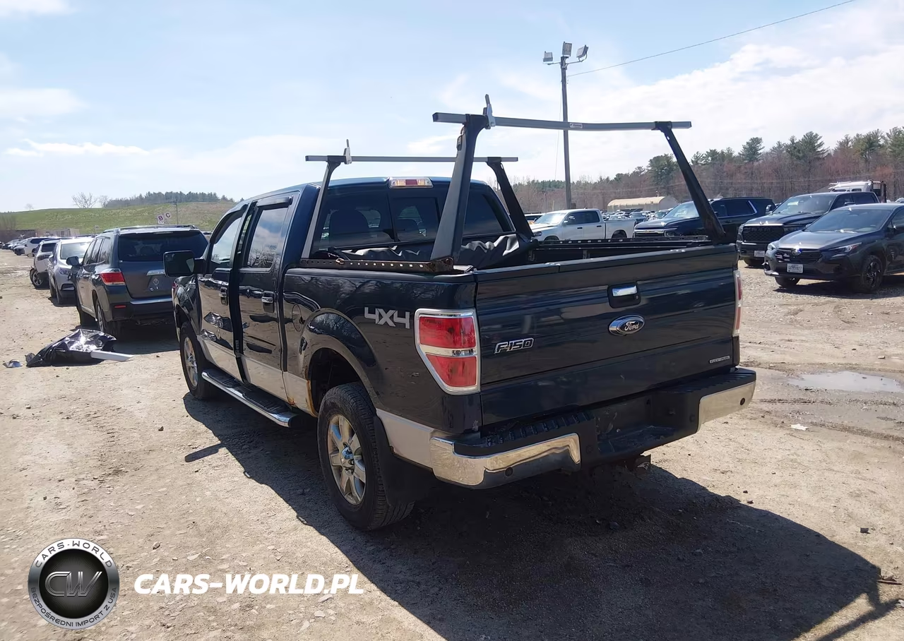 2013 Ford F-150 Xlt VIN:1FTFW1EF4DKD44839 - 3