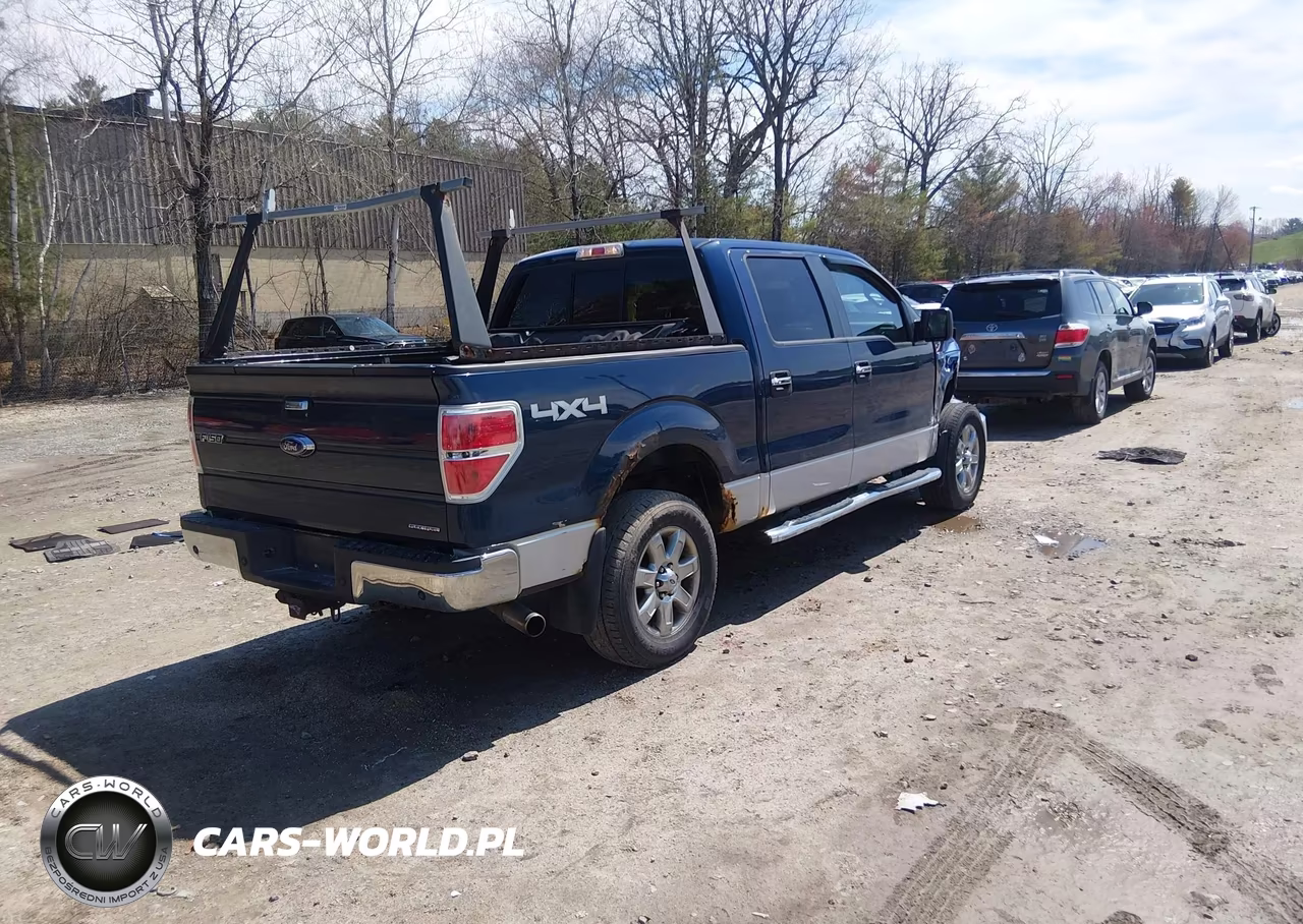 2013 Ford F-150 Xlt VIN:1FTFW1EF4DKD44839 - 4