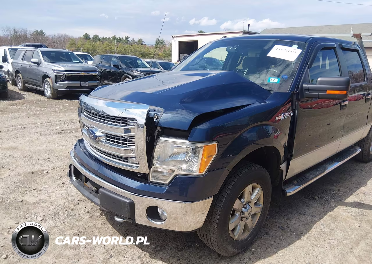2013 Ford F-150 Xlt VIN:1FTFW1EF4DKD44839 - 6