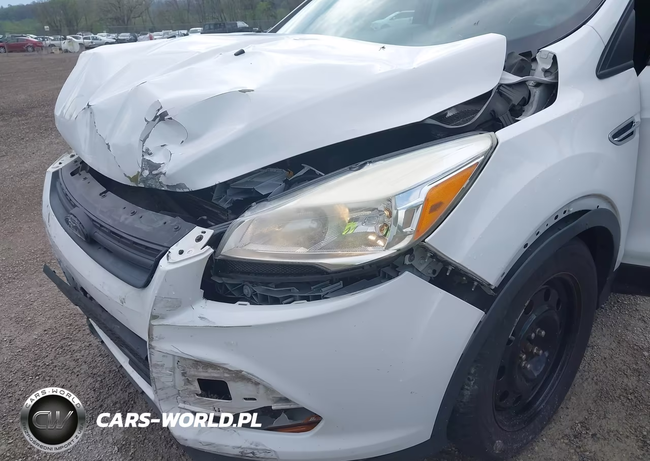 2016 Ford Escape S VIN:1FMCU0F71GUC84050 - 6