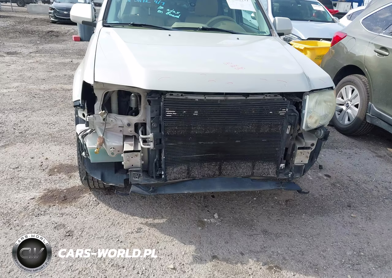 2009 Ford Escape Limited VIN:1FMCU04GX9KA63273 - 6