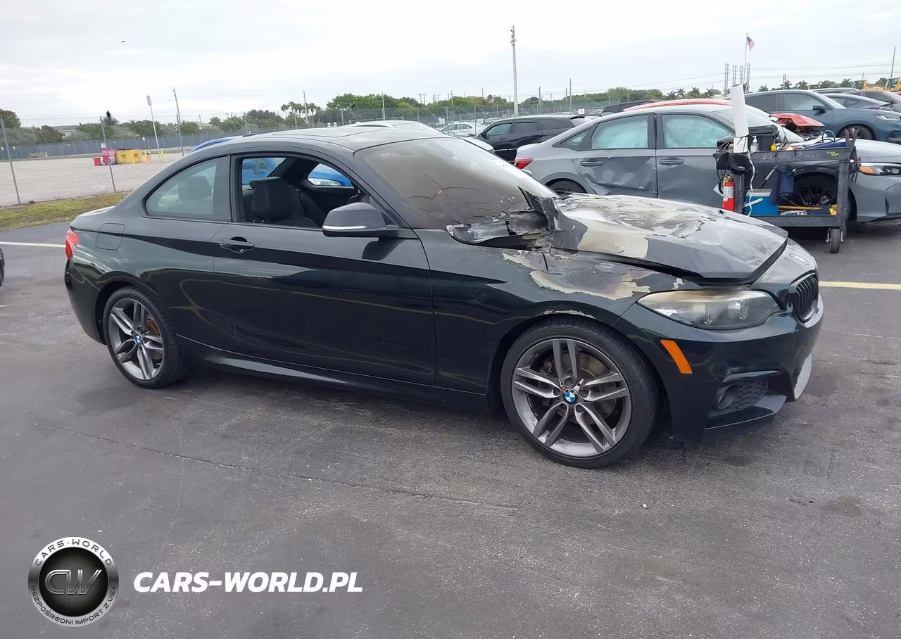 2018 BMW 230I