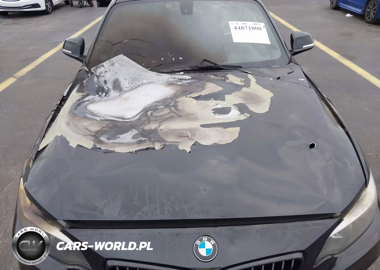 2018 BMW 230I VIN:WBA2J1C56JVD09379 - 12