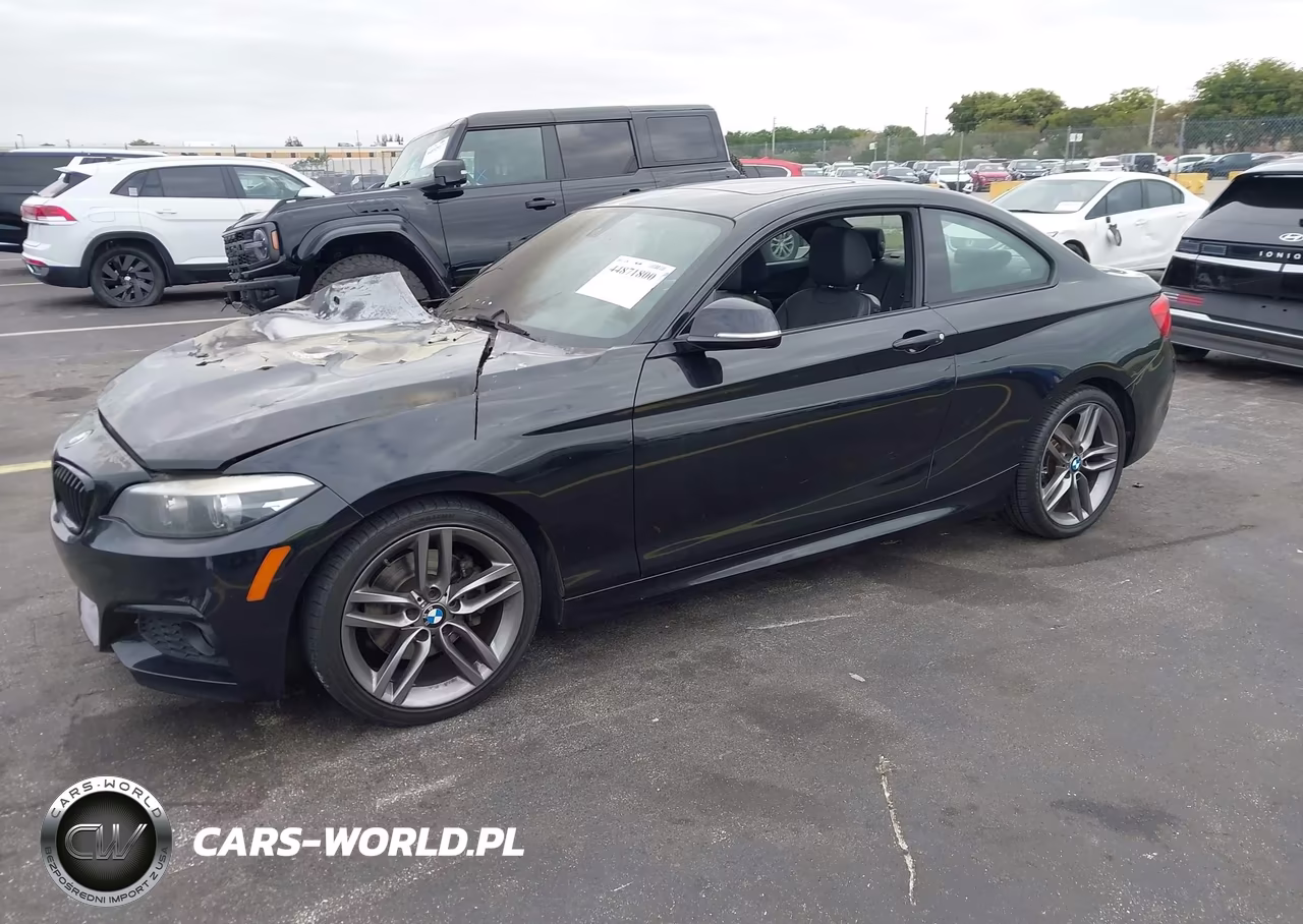 2018 BMW 230I VIN:WBA2J1C56JVD09379 - 2