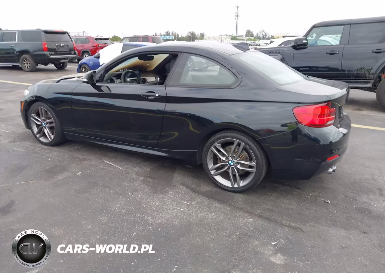 2018 BMW 230I VIN:WBA2J1C56JVD09379 - 3