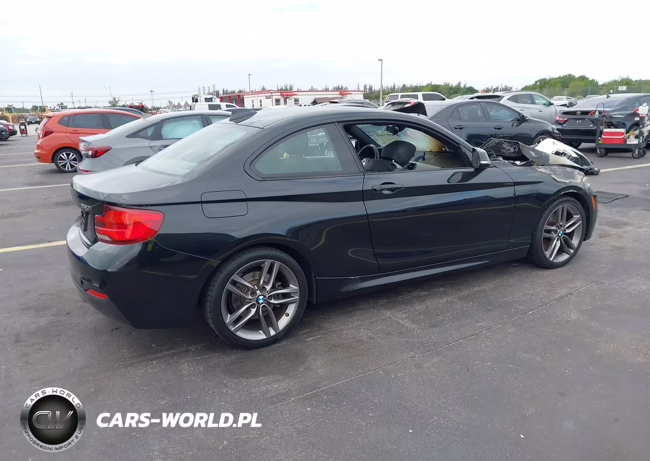 2018 BMW 230I VIN:WBA2J1C56JVD09379 - 4