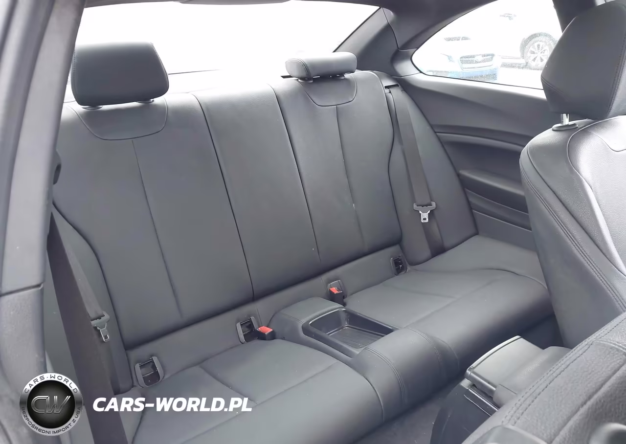 2018 BMW 230I VIN:WBA2J1C56JVD09379 - 8