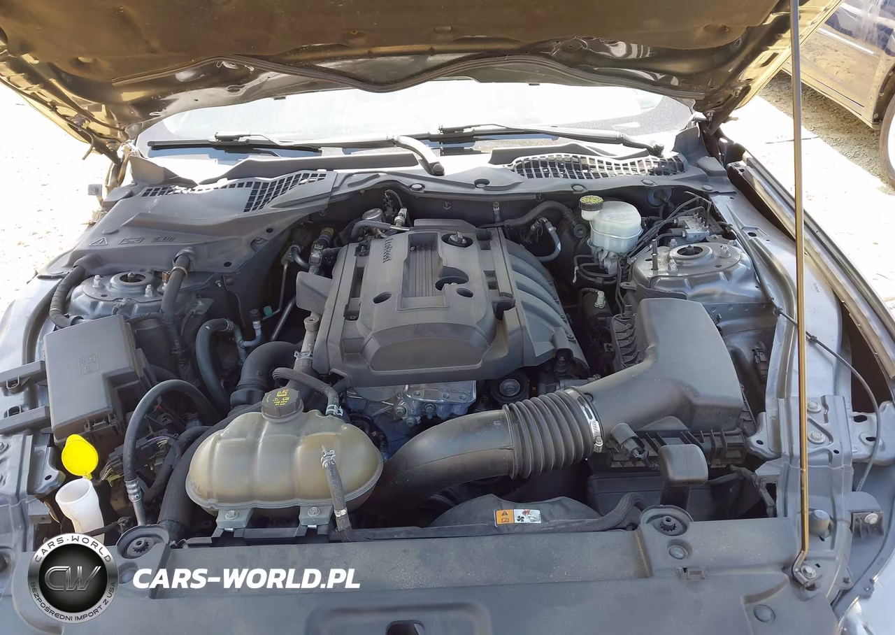 2016 Ford Mustang Ecoboost VIN:1FA6P8TH5G5208139 - 10