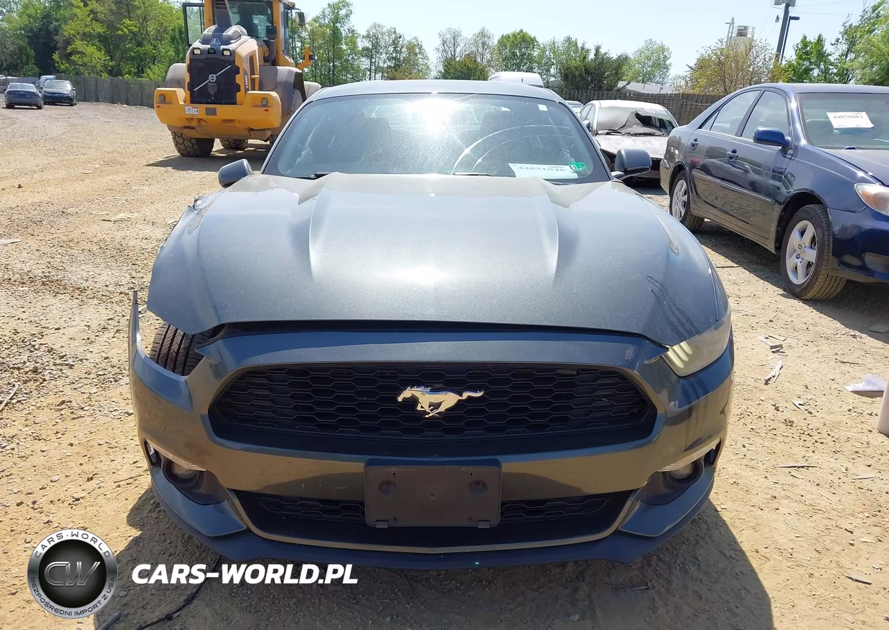 2016 Ford Mustang Ecoboost VIN:1FA6P8TH5G5208139 - 12