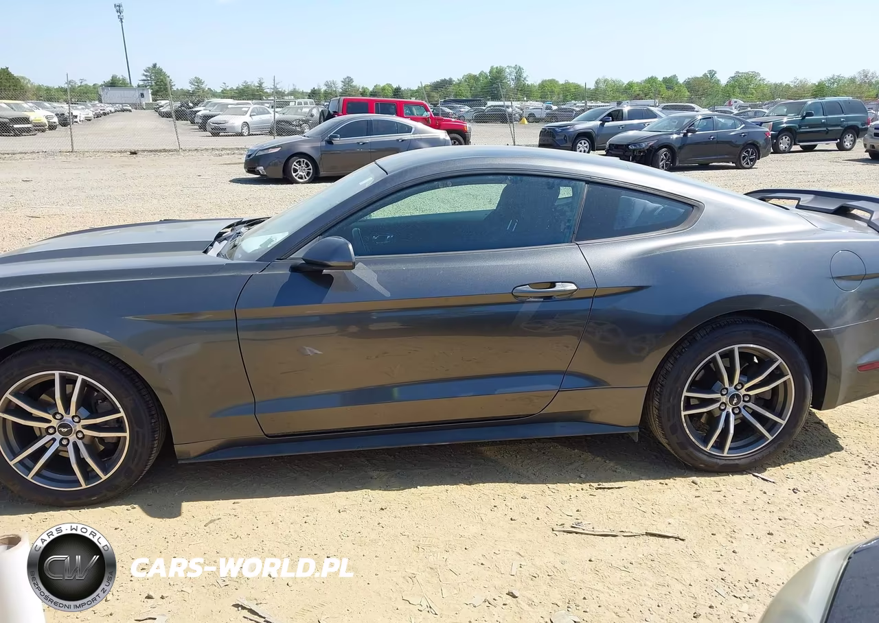 2016 Ford Mustang Ecoboost VIN:1FA6P8TH5G5208139 - 14