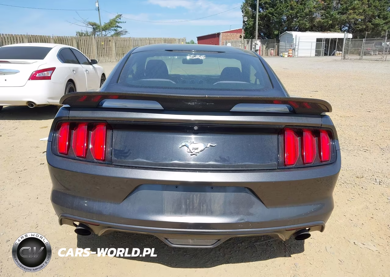 2016 Ford Mustang Ecoboost VIN:1FA6P8TH5G5208139 - 16