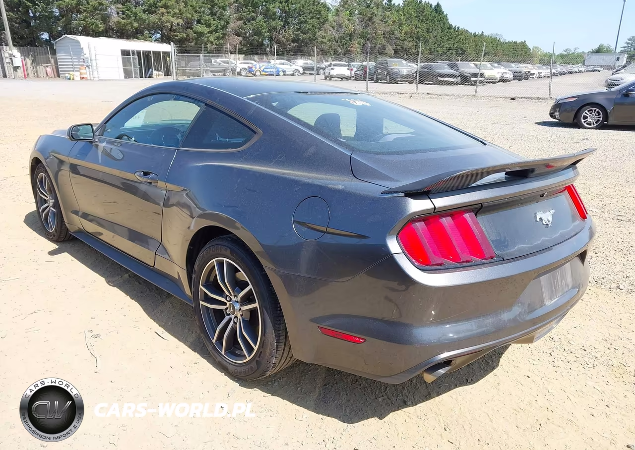 2016 Ford Mustang Ecoboost VIN:1FA6P8TH5G5208139 - 3