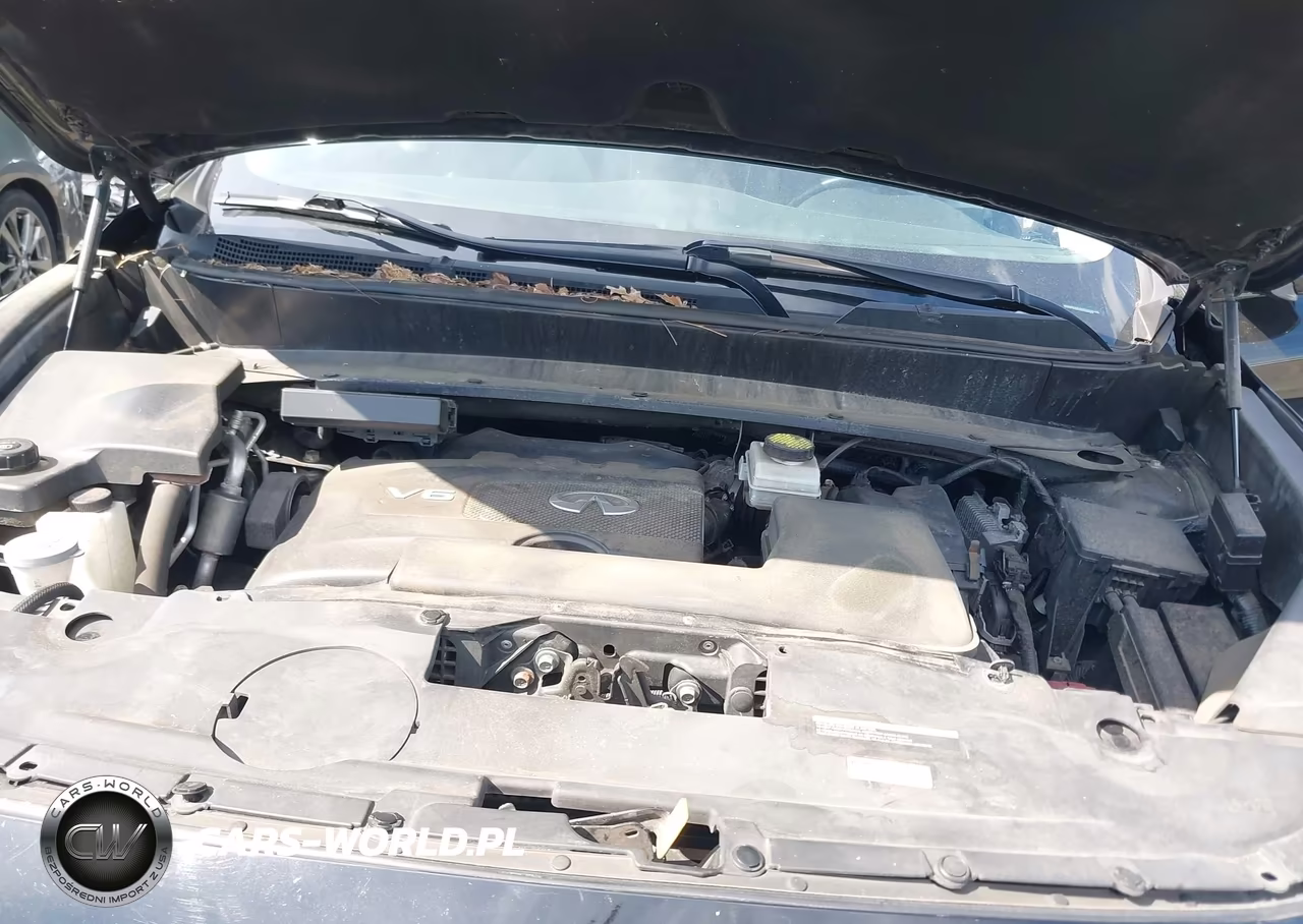 2019 Infiniti Qx60 Pure VIN:5N1DL0MM2KC559357 - 10