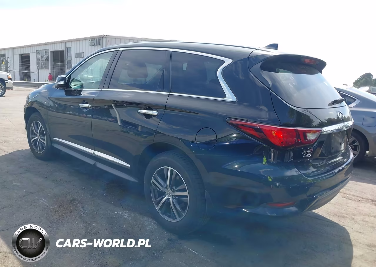 2019 Infiniti Qx60 Pure VIN:5N1DL0MM2KC559357 - 3