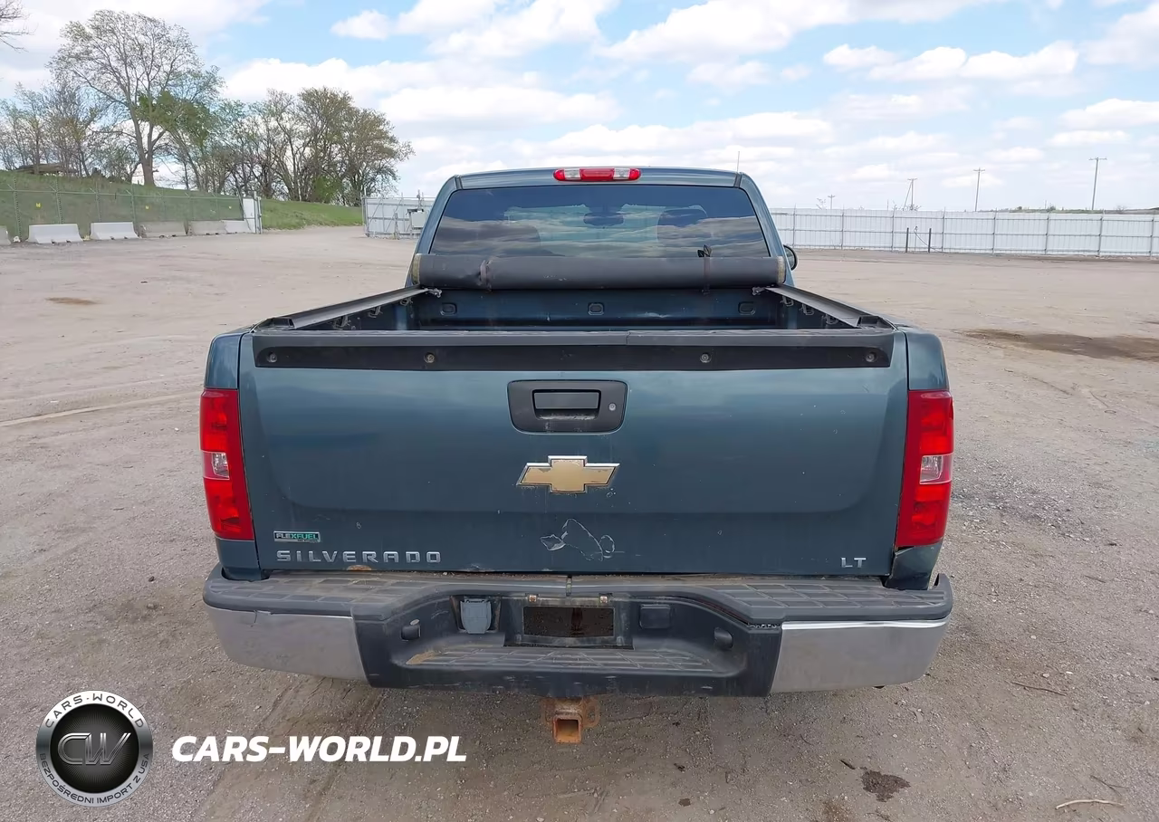 2010 Chevrolet Silverado 1500 Lt VIN:1GCSKSE35AZ124442 - 17