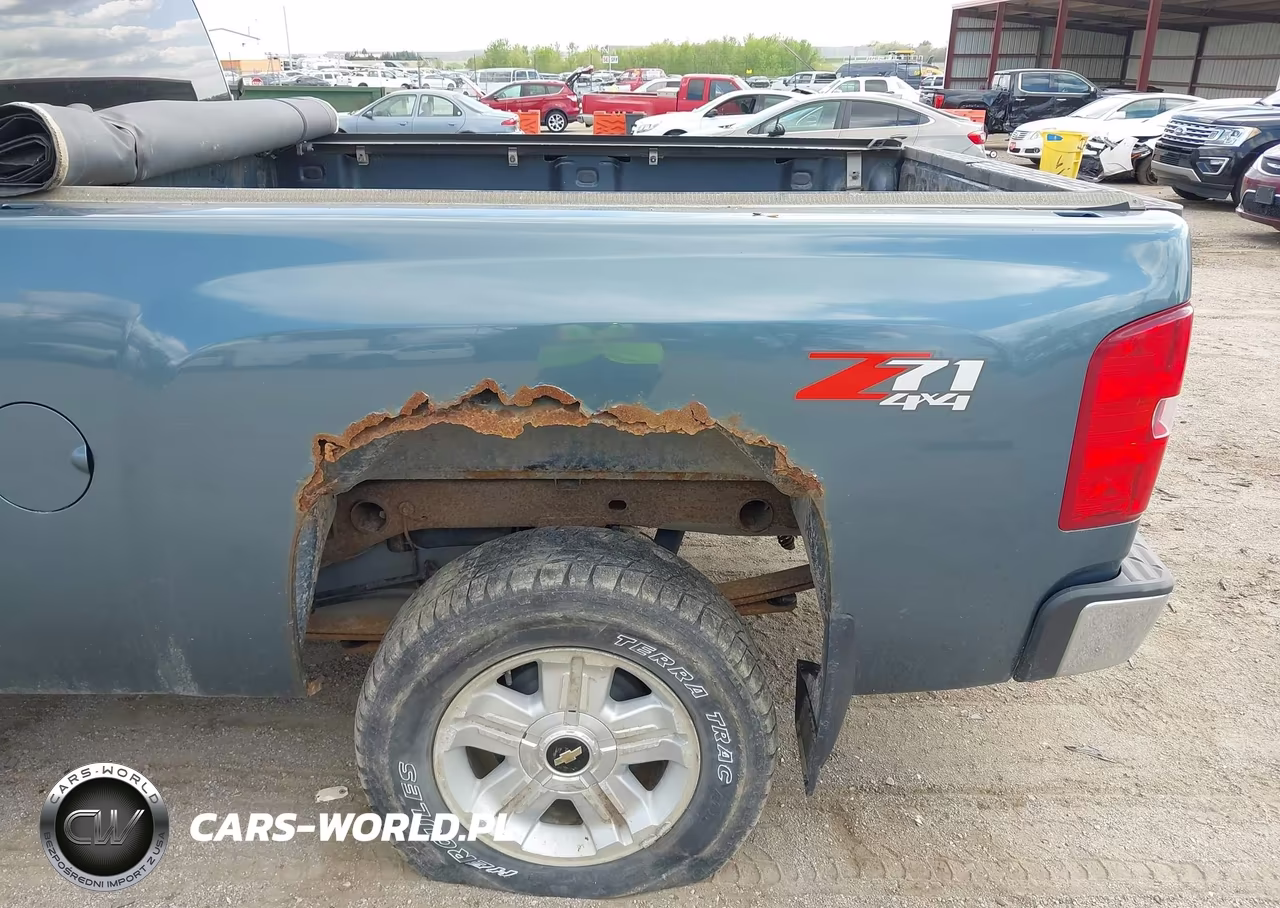 2010 Chevrolet Silverado 1500 Lt VIN:1GCSKSE35AZ124442 - 18