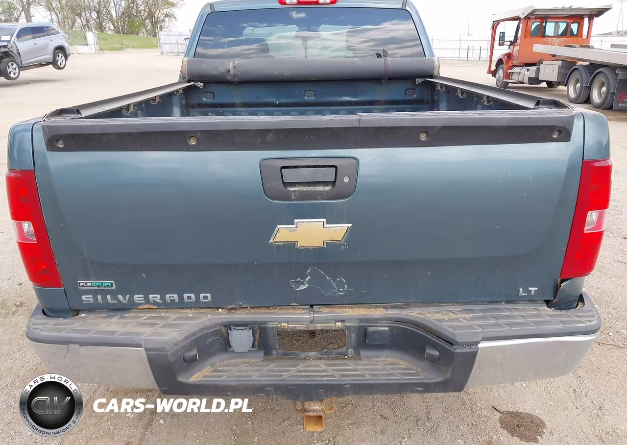 2010 Chevrolet Silverado 1500 Lt VIN:1GCSKSE35AZ124442 - 19