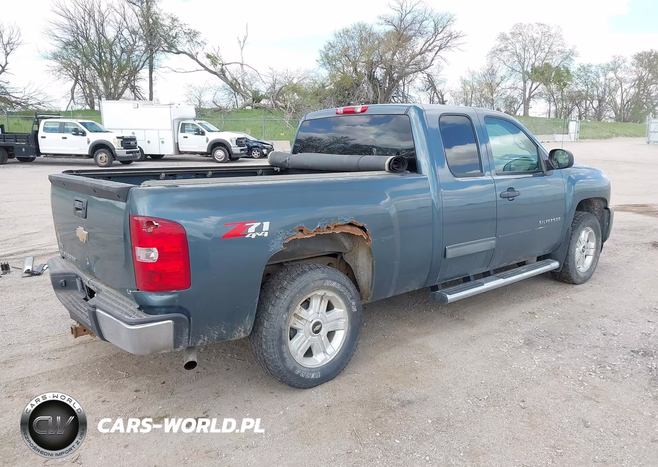 2010 Chevrolet Silverado 1500 Lt VIN:1GCSKSE35AZ124442 - 4