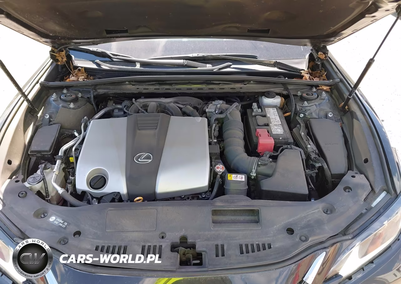 2023 Lexus Es 350 VIN:58ADZ1B11PU154422 - 10