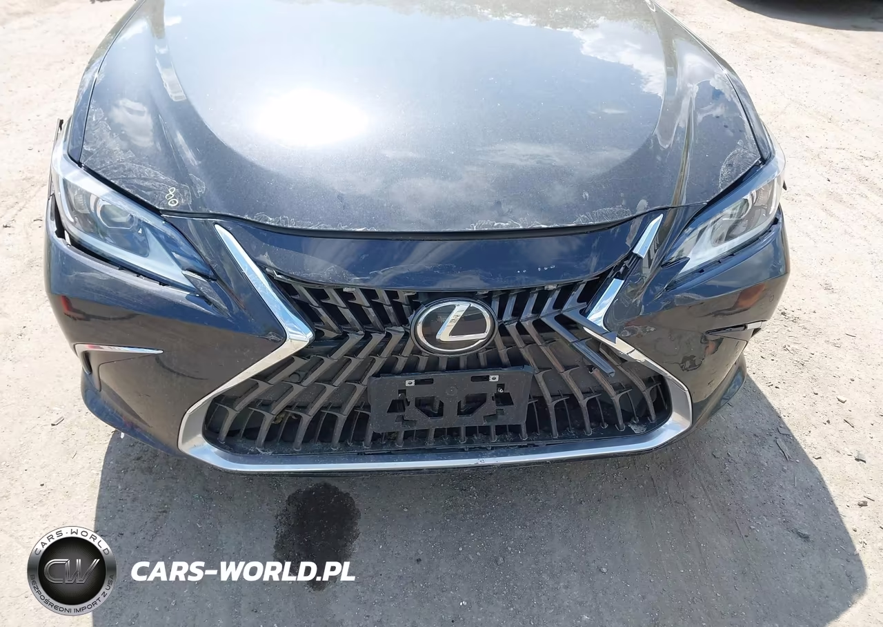 2023 Lexus Es 350 VIN:58ADZ1B11PU154422 - 19
