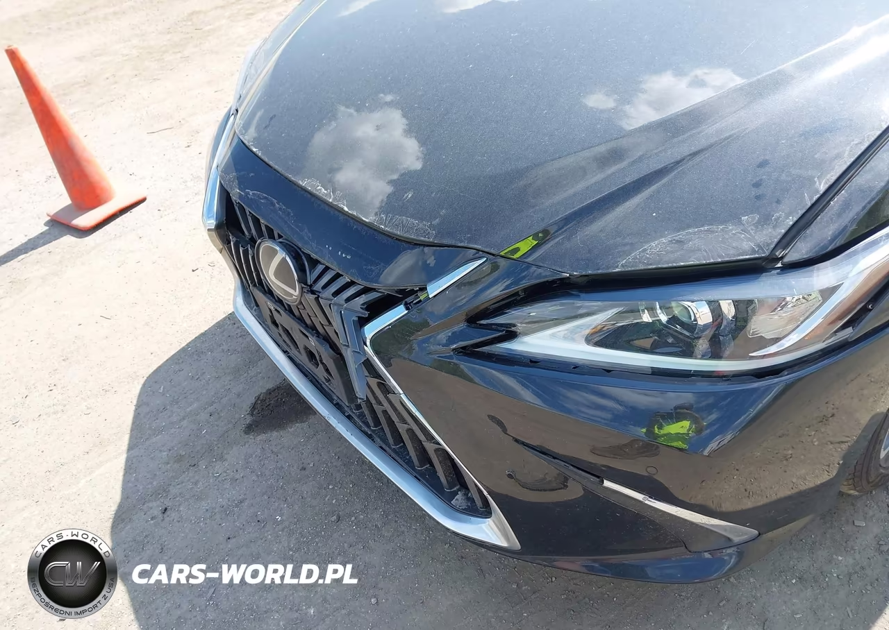2023 Lexus Es 350 VIN:58ADZ1B11PU154422 - 20