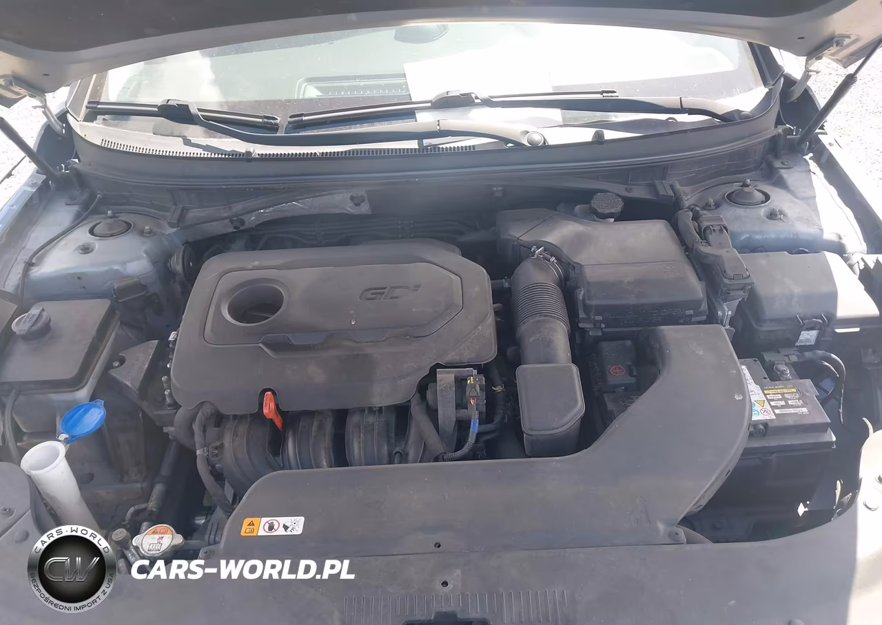 2017 Hyundai Sonata Sport VIN:5NPE34AFXHH449000 - 10