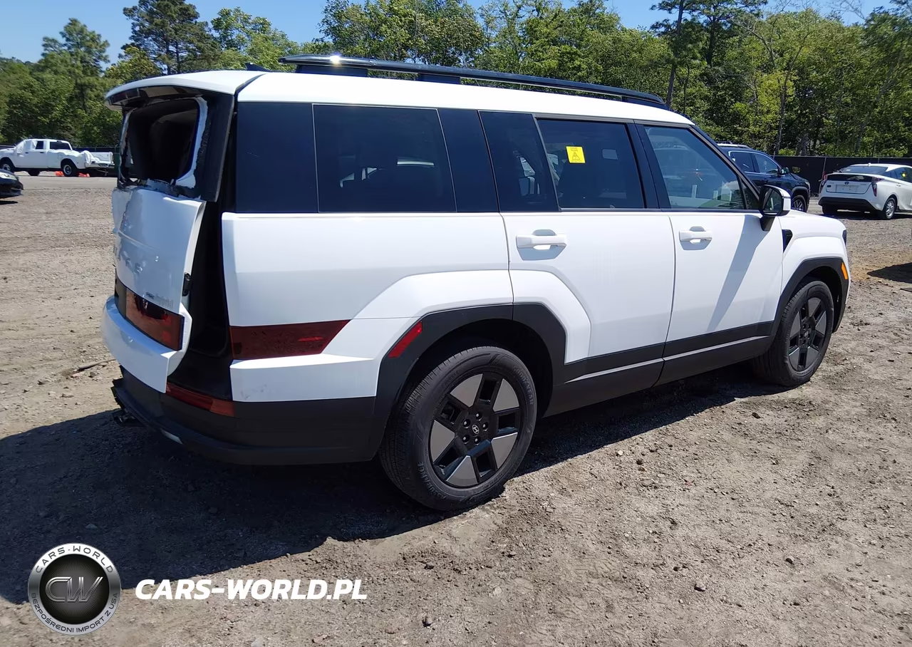 2024 Hyundai Santa Fe Hybrid Sel VIN:5NMP2DG15RH007280 - 4