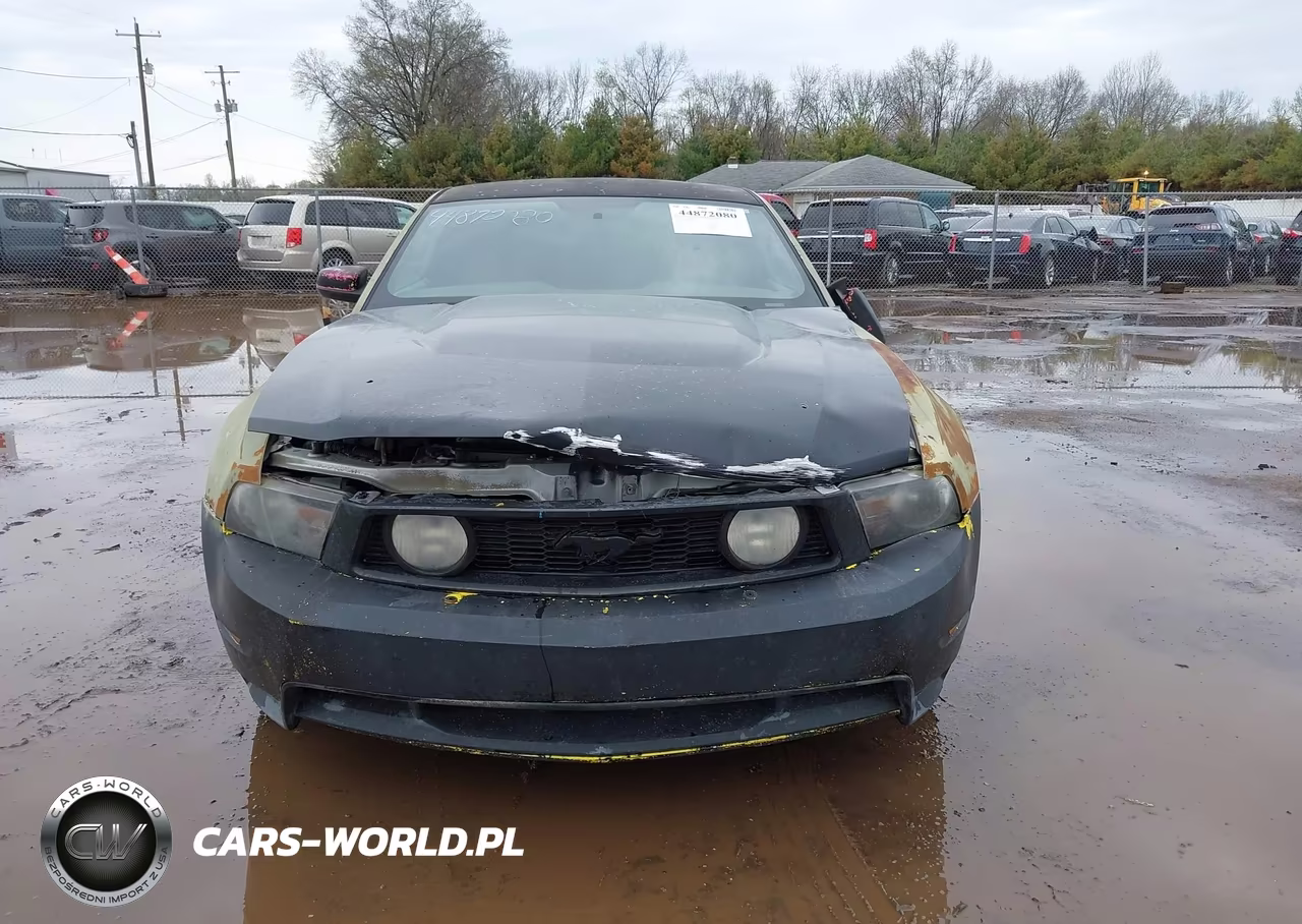 2010 Ford Mustang Gt-Gt Premium VIN:1ZVBP8CH6A5180252 - 12