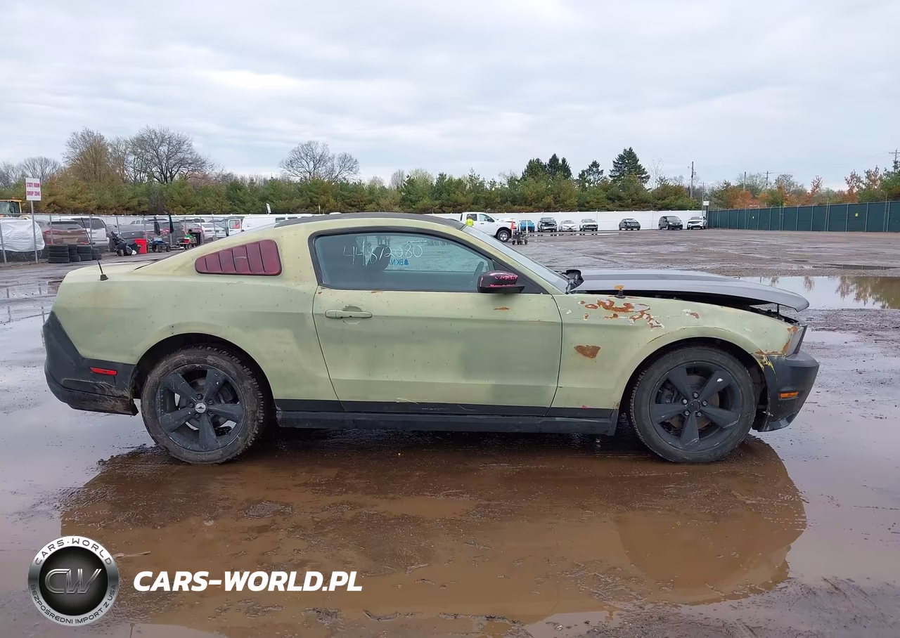 2010 Ford Mustang Gt-Gt Premium VIN:1ZVBP8CH6A5180252 - 13