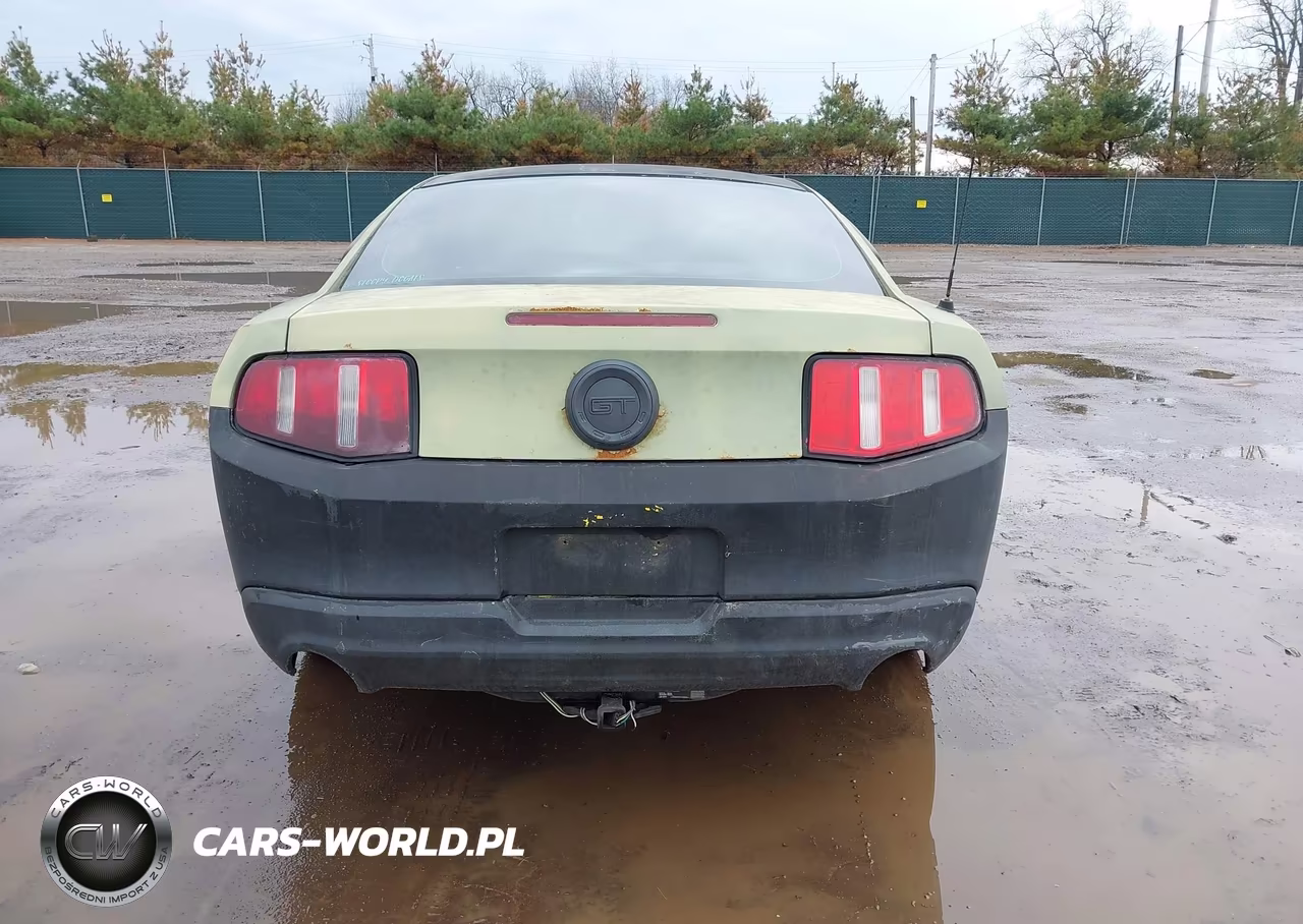 2010 Ford Mustang Gt-Gt Premium VIN:1ZVBP8CH6A5180252 - 16