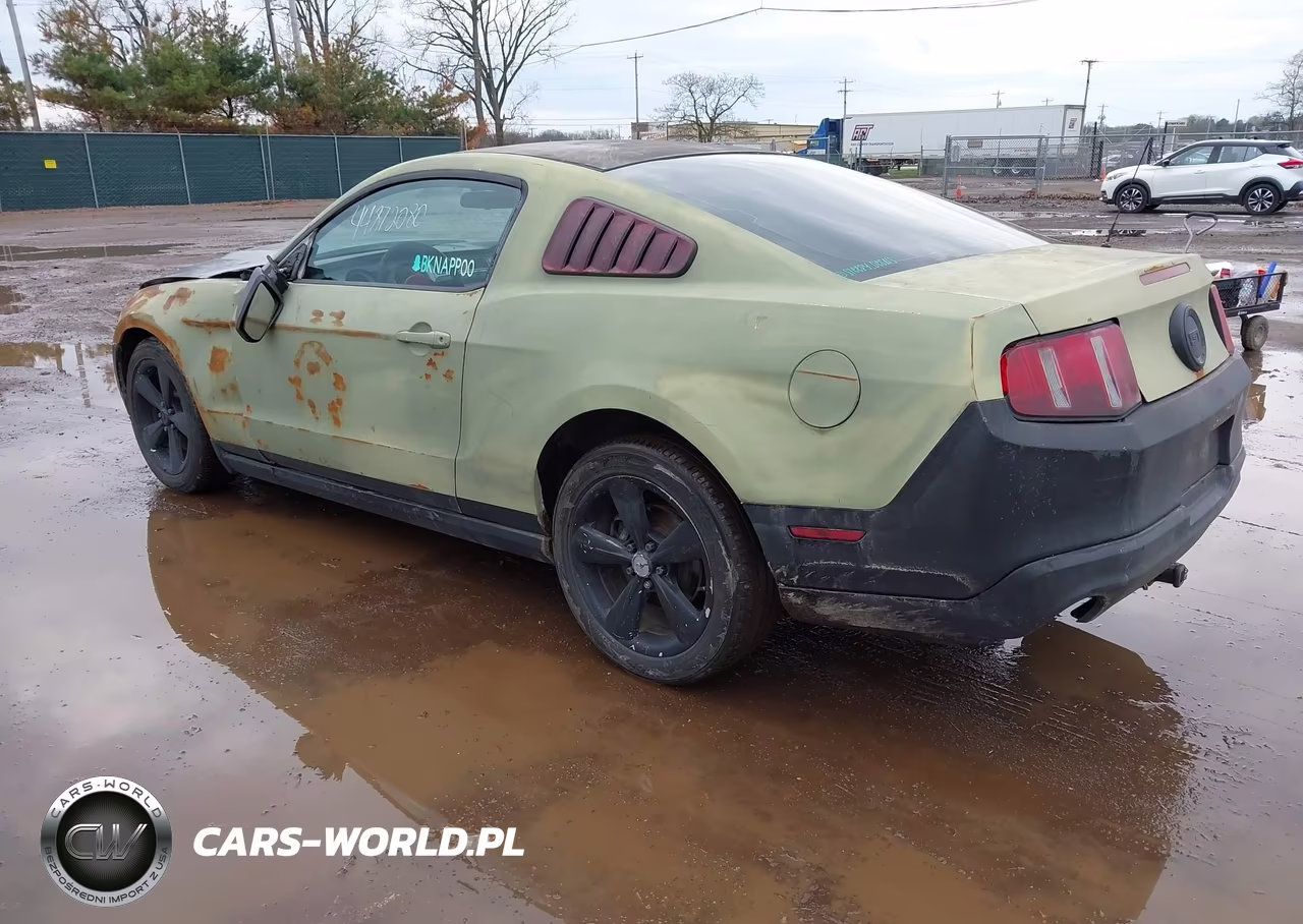 2010 Ford Mustang Gt-Gt Premium VIN:1ZVBP8CH6A5180252 - 3