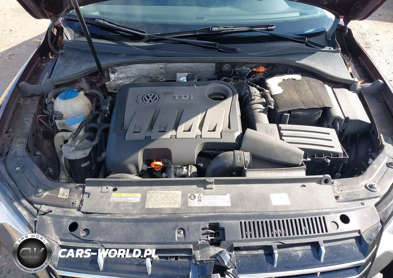 2013 Volkswagen Passat 2.0L Tdi Sel Premium VIN:1VWCN7A37DC142119 - 10