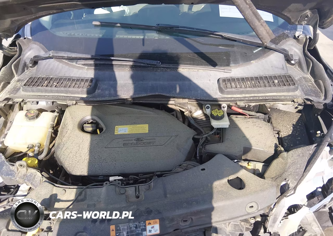 2014 Ford Escape Se VIN:1FMCU0GX1EUB57813 - 10