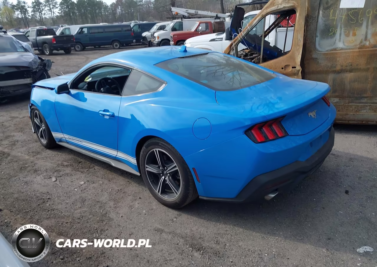 2025 Ford Mustang Ecoboost Fastback VIN:1FA6P8TH5S5127523 - 14