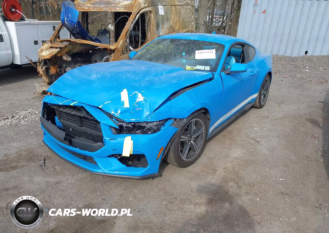 2025 Ford Mustang Ecoboost Fastback VIN:1FA6P8TH5S5127523 - 2