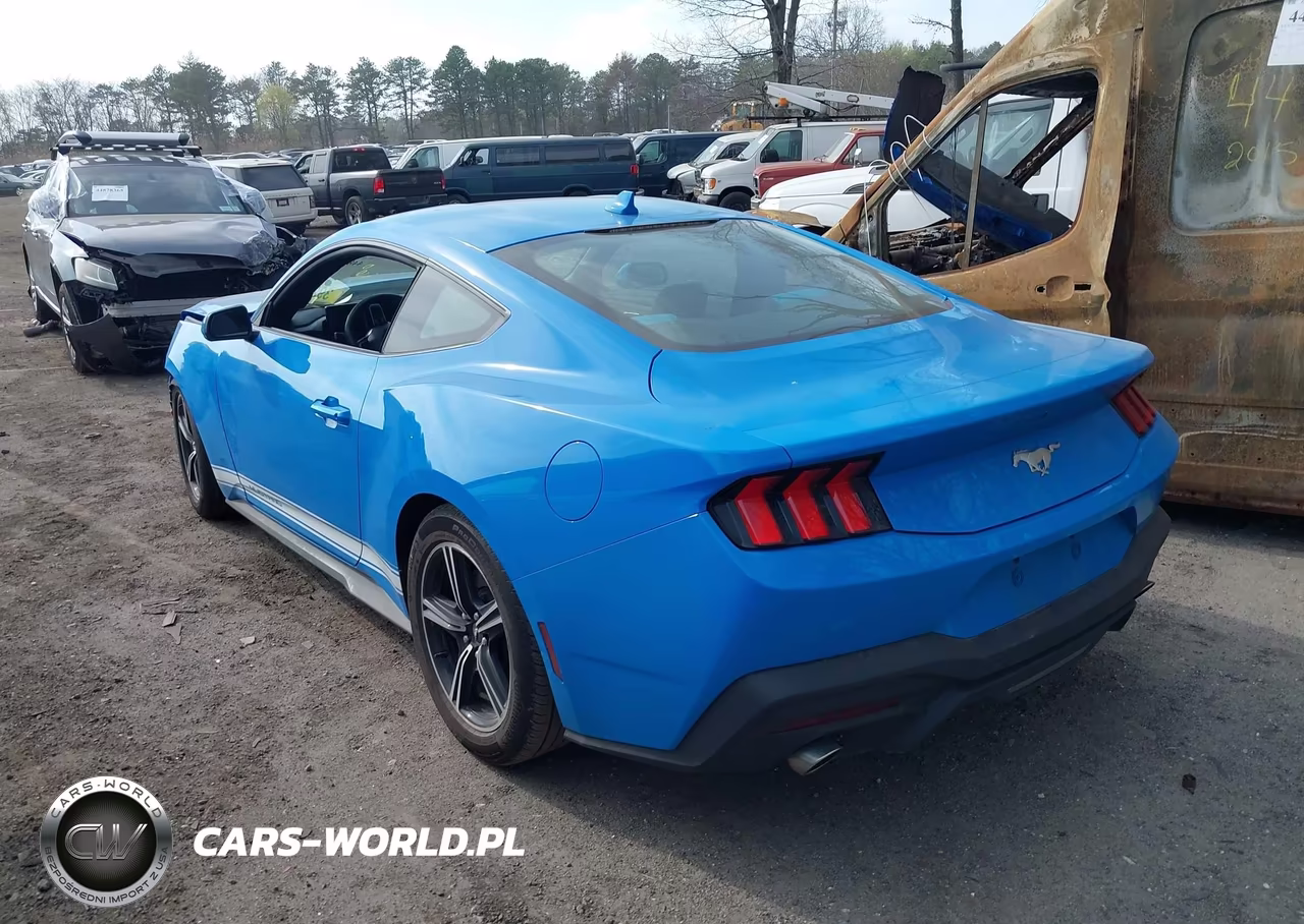 2025 Ford Mustang Ecoboost Fastback VIN:1FA6P8TH5S5127523 - 3