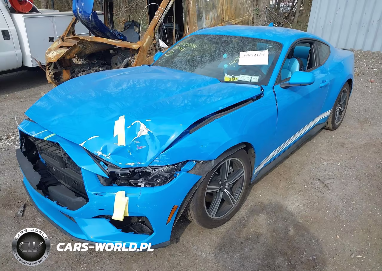 2025 Ford Mustang Ecoboost Fastback VIN:1FA6P8TH5S5127523 - 6
