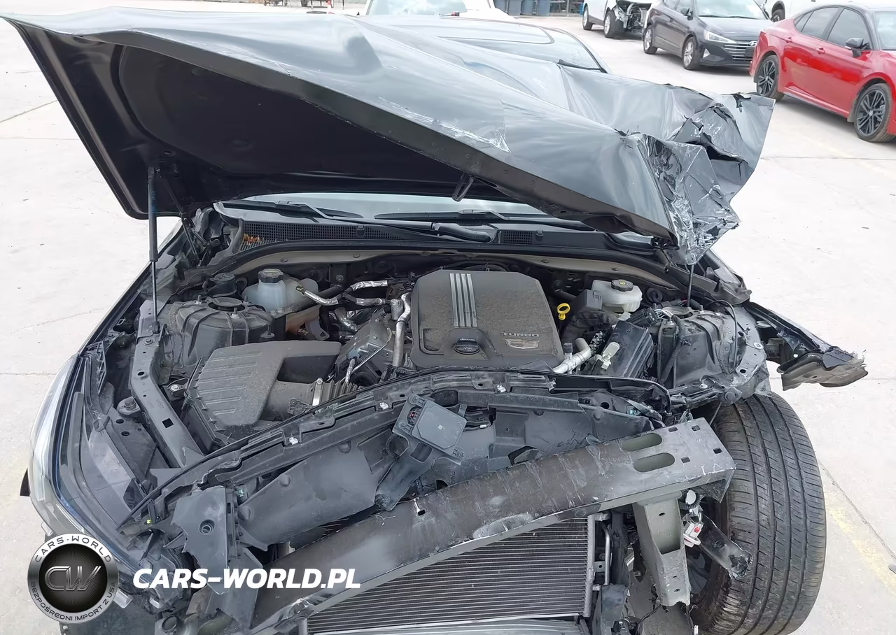 2024 Cadillac Ct5 Sport VIN:1G6DP5RK3R0128313 - 10