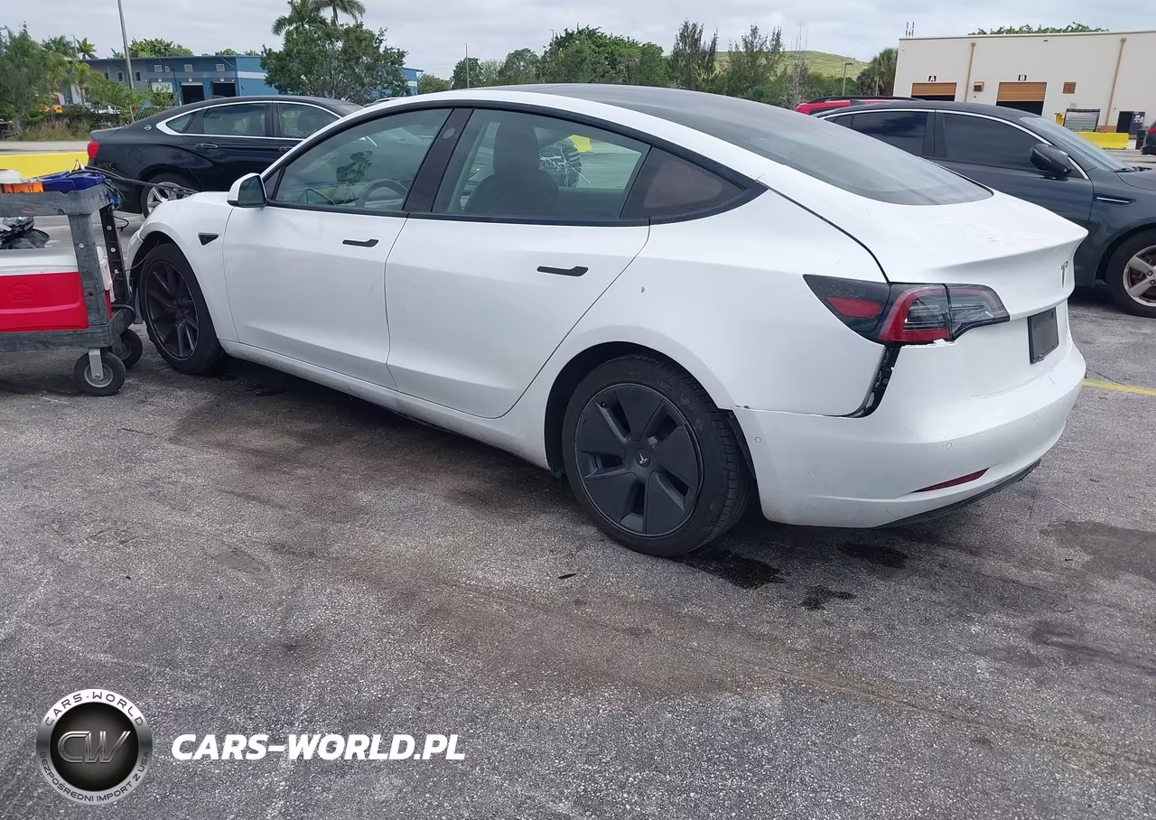 2021 Tesla Model 3 Standard Range Plus Rear-Wheel Drive VIN:5YJ3E1EA6MF868159 - 3