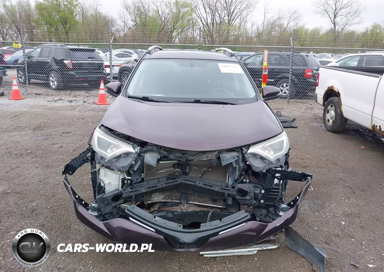 2016 Toyota Rav4 Xle VIN:2T3RFREV0GW510384 - 13