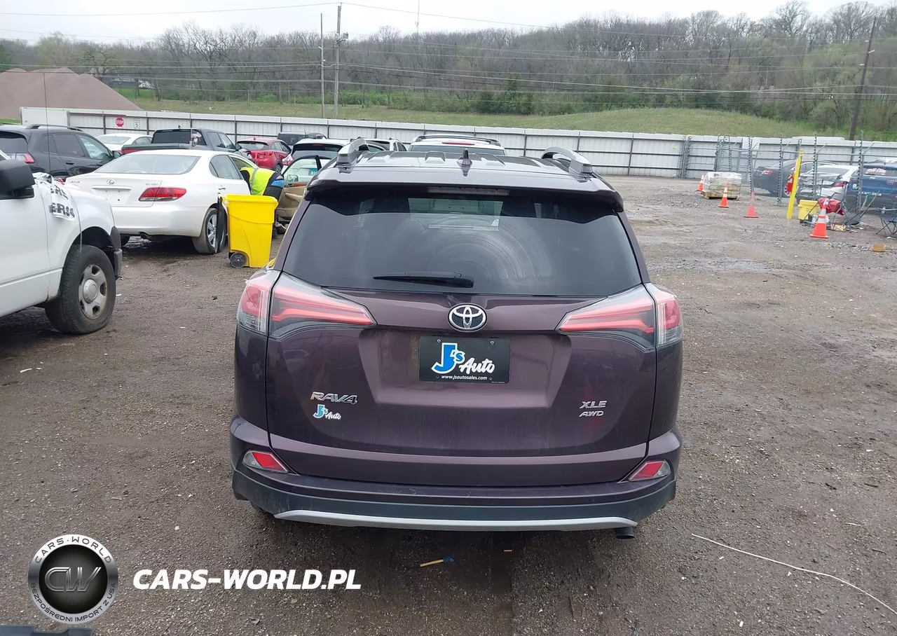 2016 Toyota Rav4 Xle VIN:2T3RFREV0GW510384 - 17