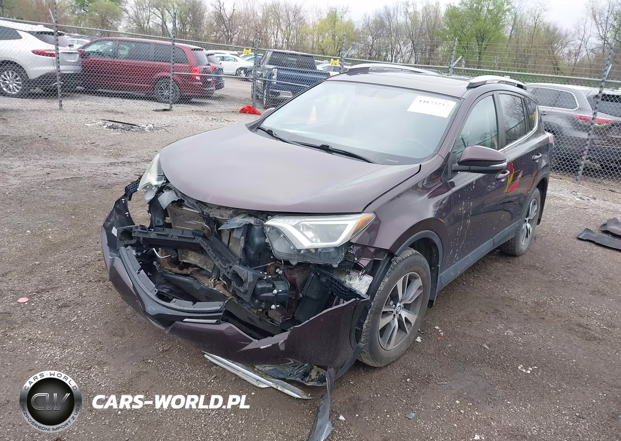 2016 Toyota Rav4 Xle VIN:2T3RFREV0GW510384 - 2