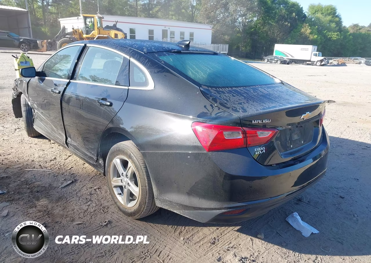 2024 Chevrolet Malibu Fwd 1Lt VIN:1G1ZD5ST1RF119209 - 3