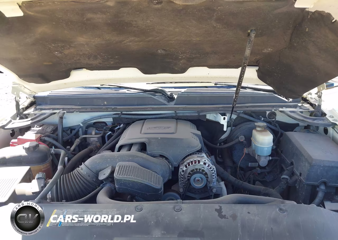 2010 Cadillac Escalade Premium VIN:1GYUKCEF9AR146690 - 10
