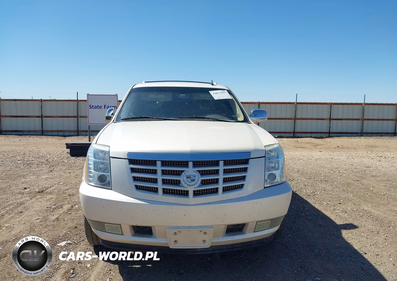 2010 Cadillac Escalade Premium VIN:1GYUKCEF9AR146690 - 12