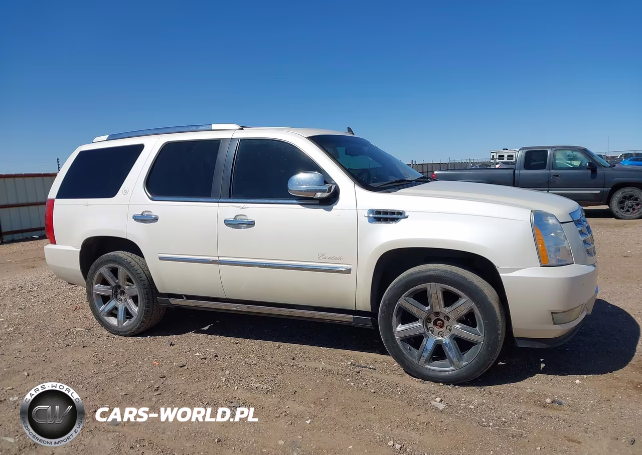 2010 Cadillac Escalade Premium VIN:1GYUKCEF9AR146690 - 13